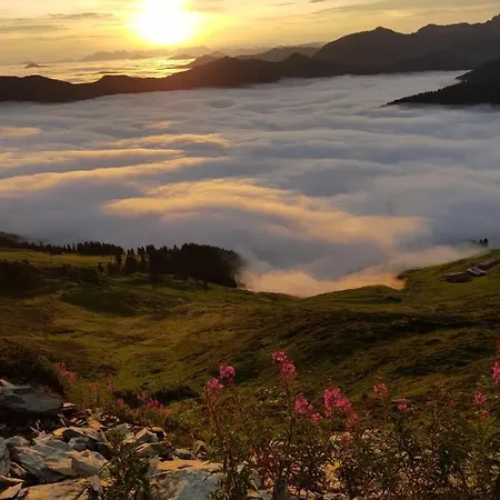 アパート Pirhofer *