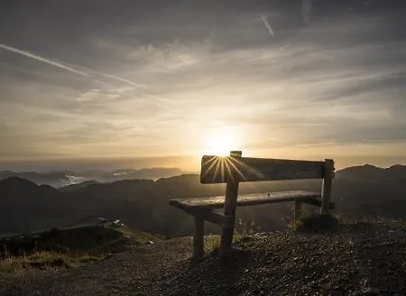 Pirhofer アパート *