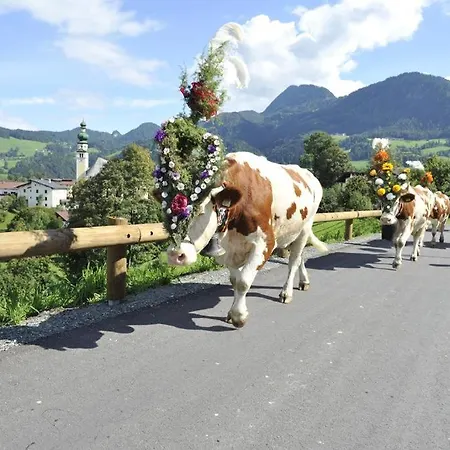 Pirhofer Kramsach