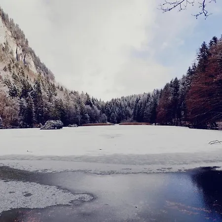 Pirhofer アパート *