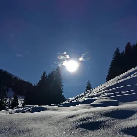 Pirhofer Apartamento *