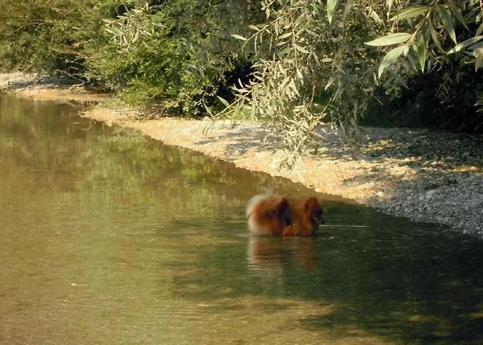 アパート Pirhofer クラムザッハ