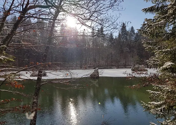 Pirhofer アパート