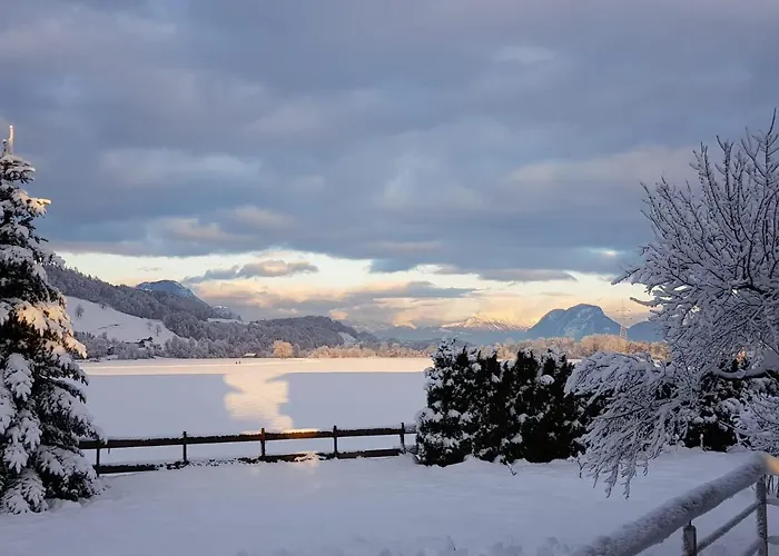 Pirhofer クラムザッハ