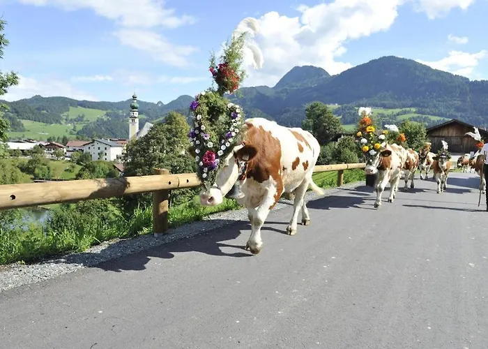 Pirhofer クラムザッハ