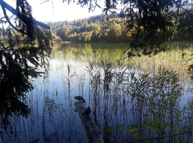 Pirhofer * クラムザッハ