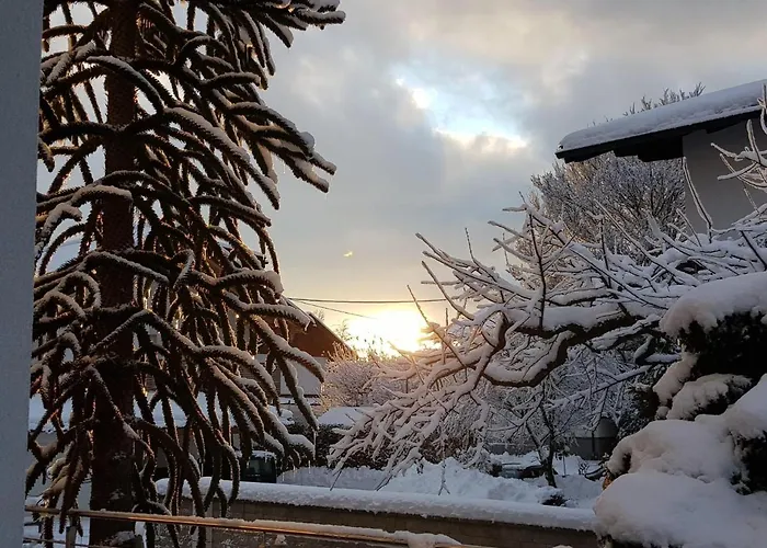 Pirhofer アパート