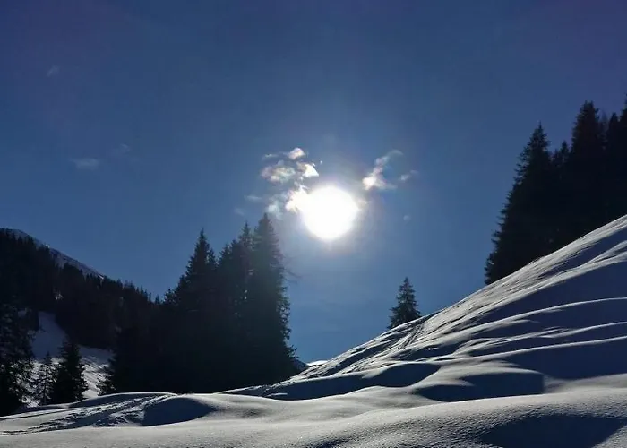 Pirhofer アパート *