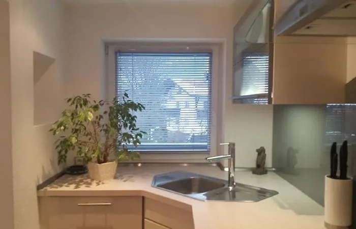 Pirhofer アパート *