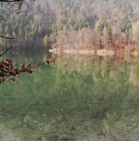 Pirhofer Appartement