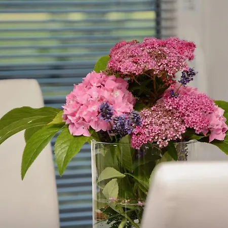 Appartement Pirhofer