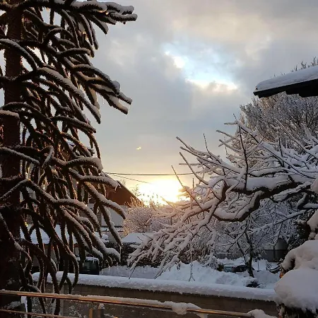 Pirhofer Appartement