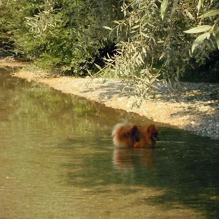 Daire Pirhofer Kramsach