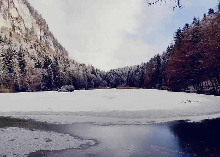 Pirhofer Lejlighed *